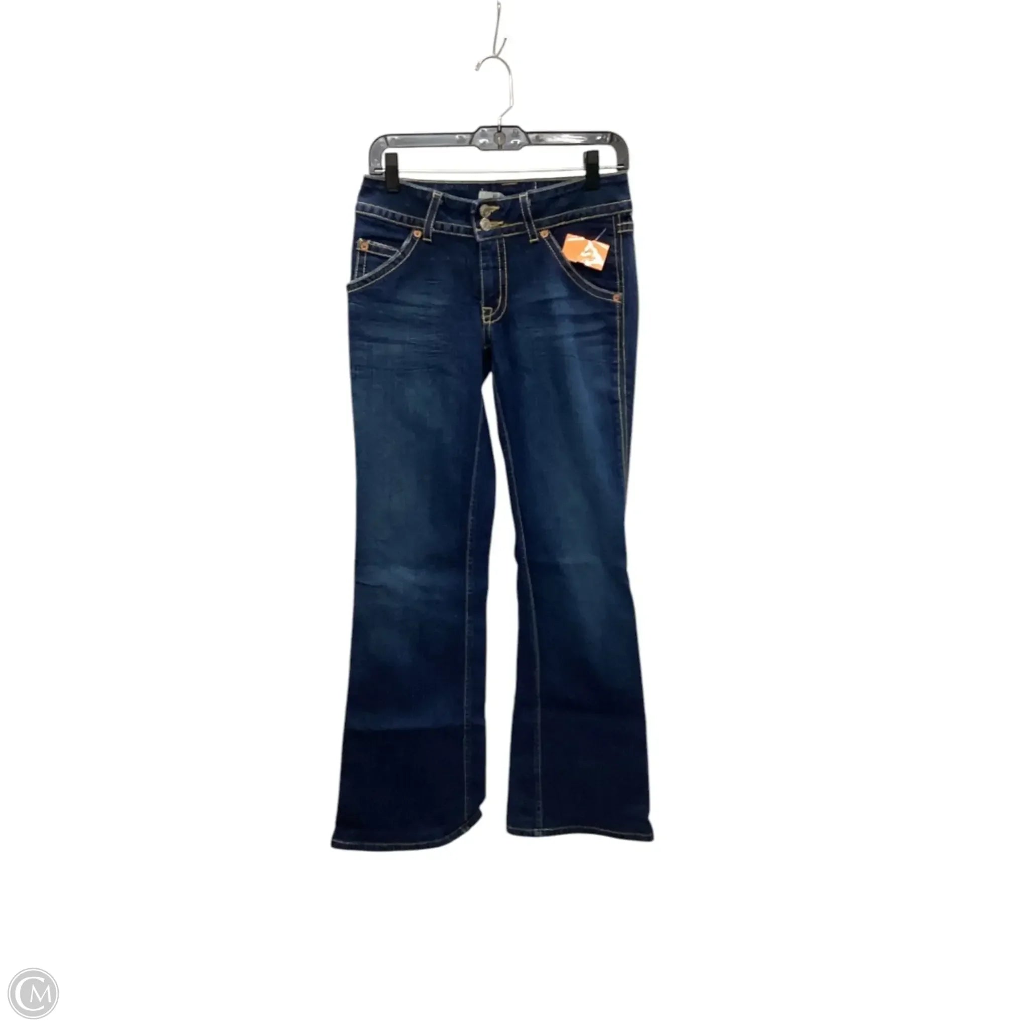 Hipster Men's JeansJeans Flared By Hudson In Blue Denim, Size: 6