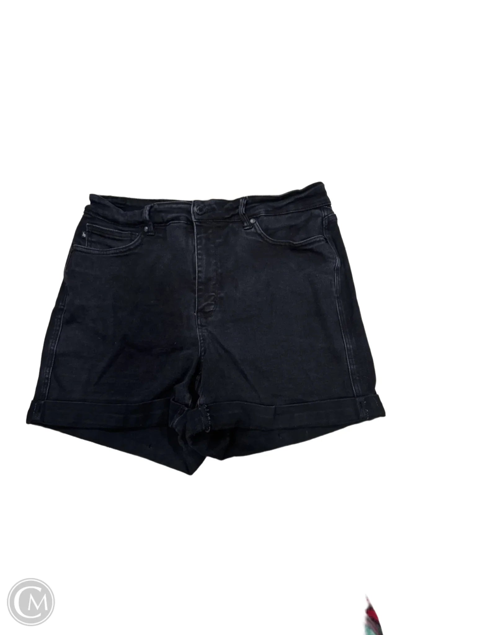 Men's Weather-Resistant Outdoor ShortsShorts By Judy Blue In Black, Size: 1x